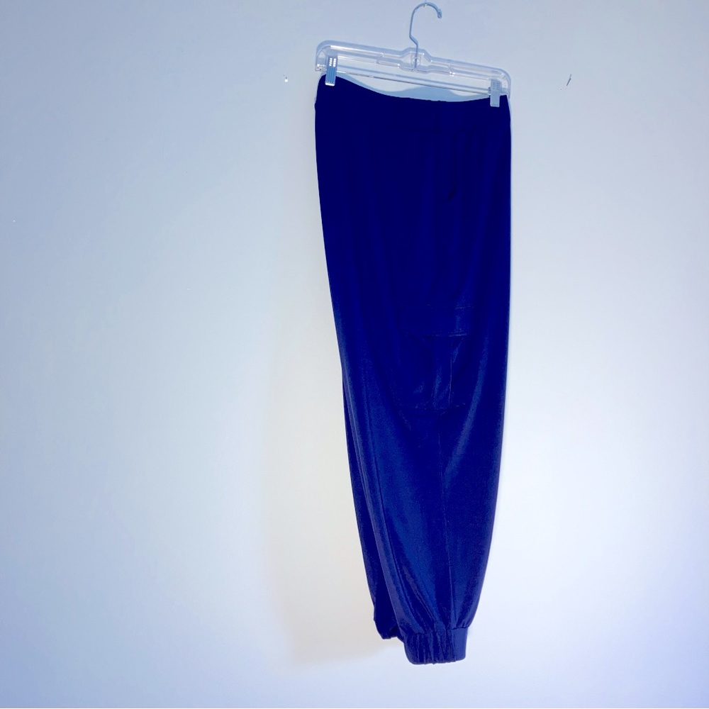 Lisa Rinna Women’s size 2XP Cargo Style Pants in a silky polyester. Excellent.
